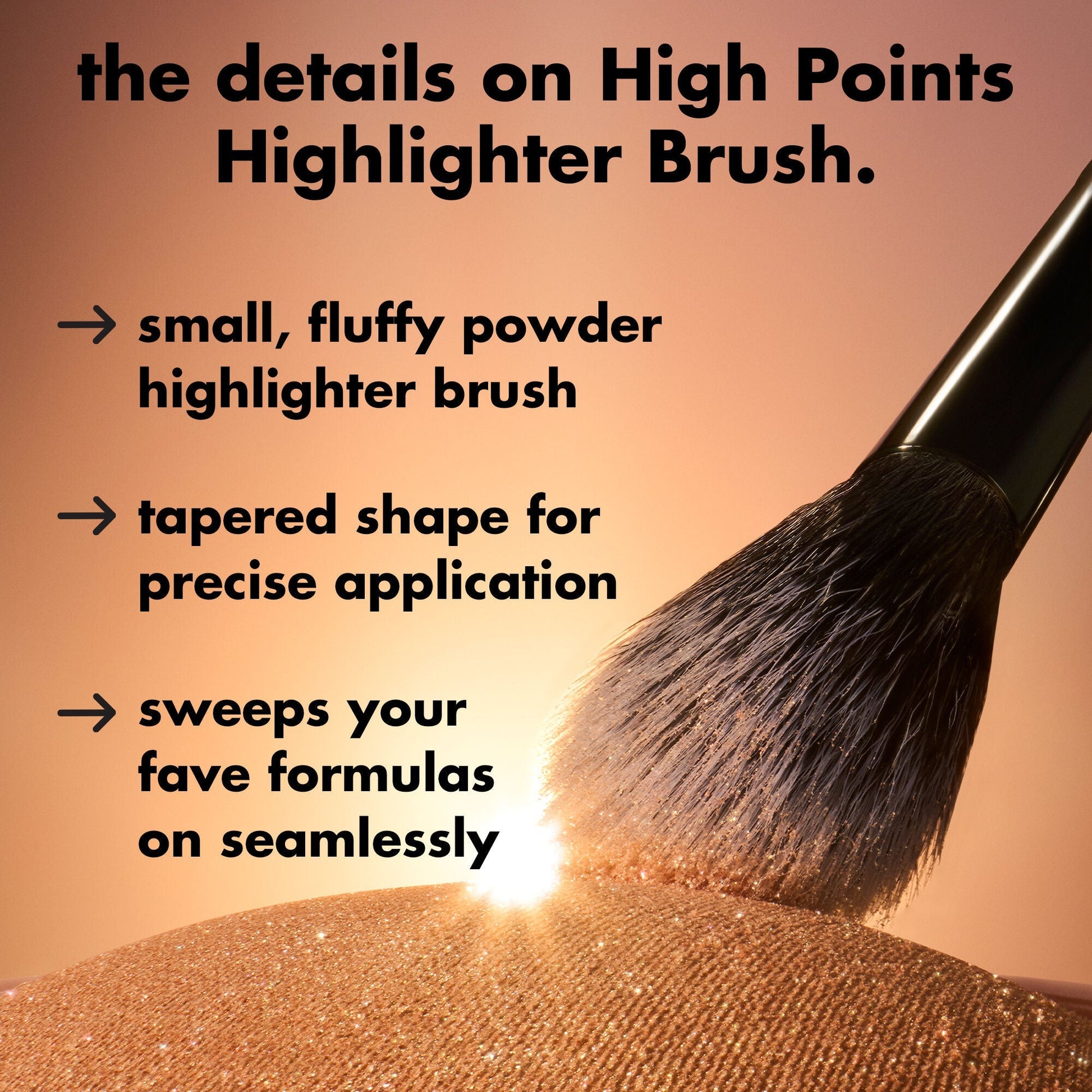high-points-highlighter-brush-g5 0226_EDU_HighpointsHighlighterBrush_Details.jpg