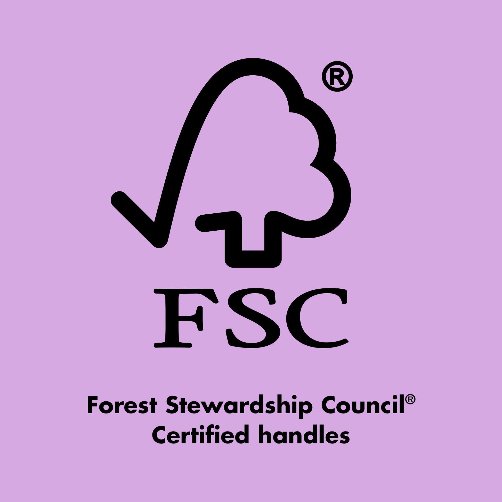 ten-out-of-ten-brush-kit-o0 0423_EDUCATION_FSC_EVERGREEN.jpg