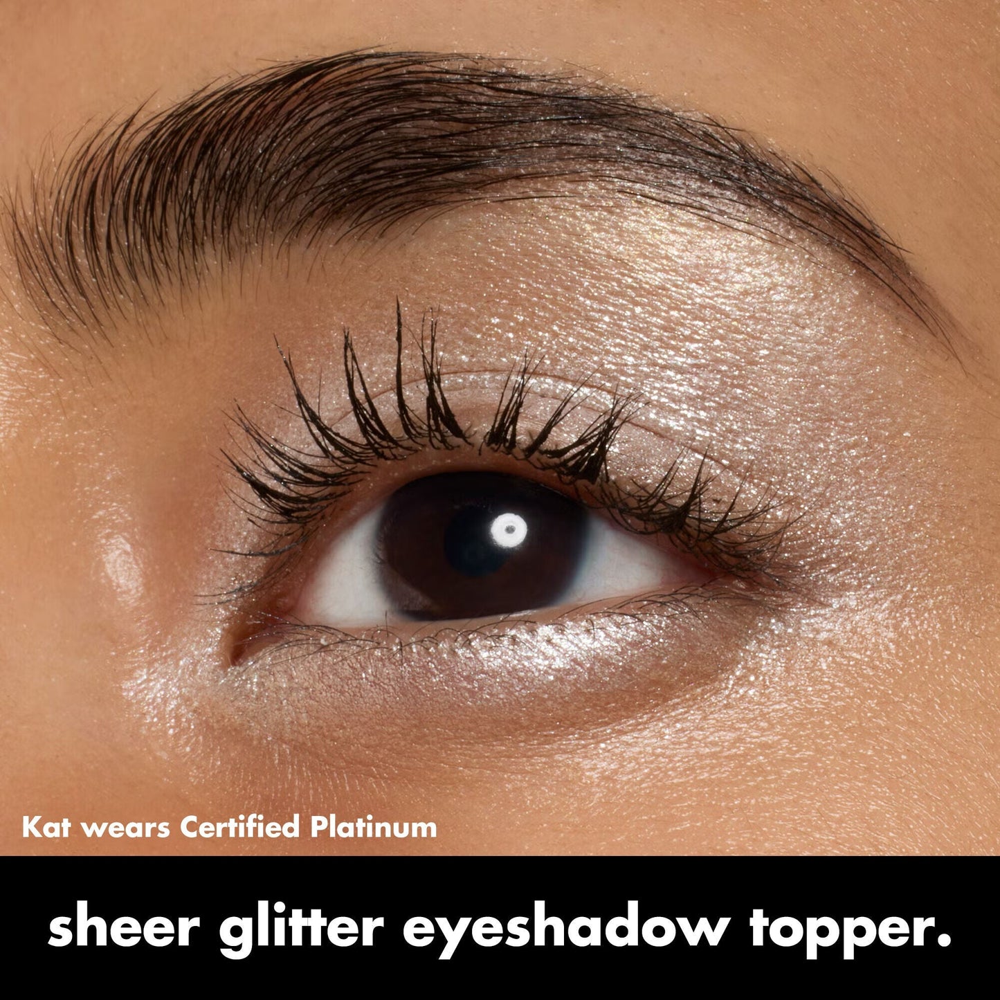 fine-as-fleck-glitter-eyeshadow-h3 0424_EDUCATION_FINEASFLECK_EYESHADOW_OnModel_certifiedplatinum_Kat.jpg