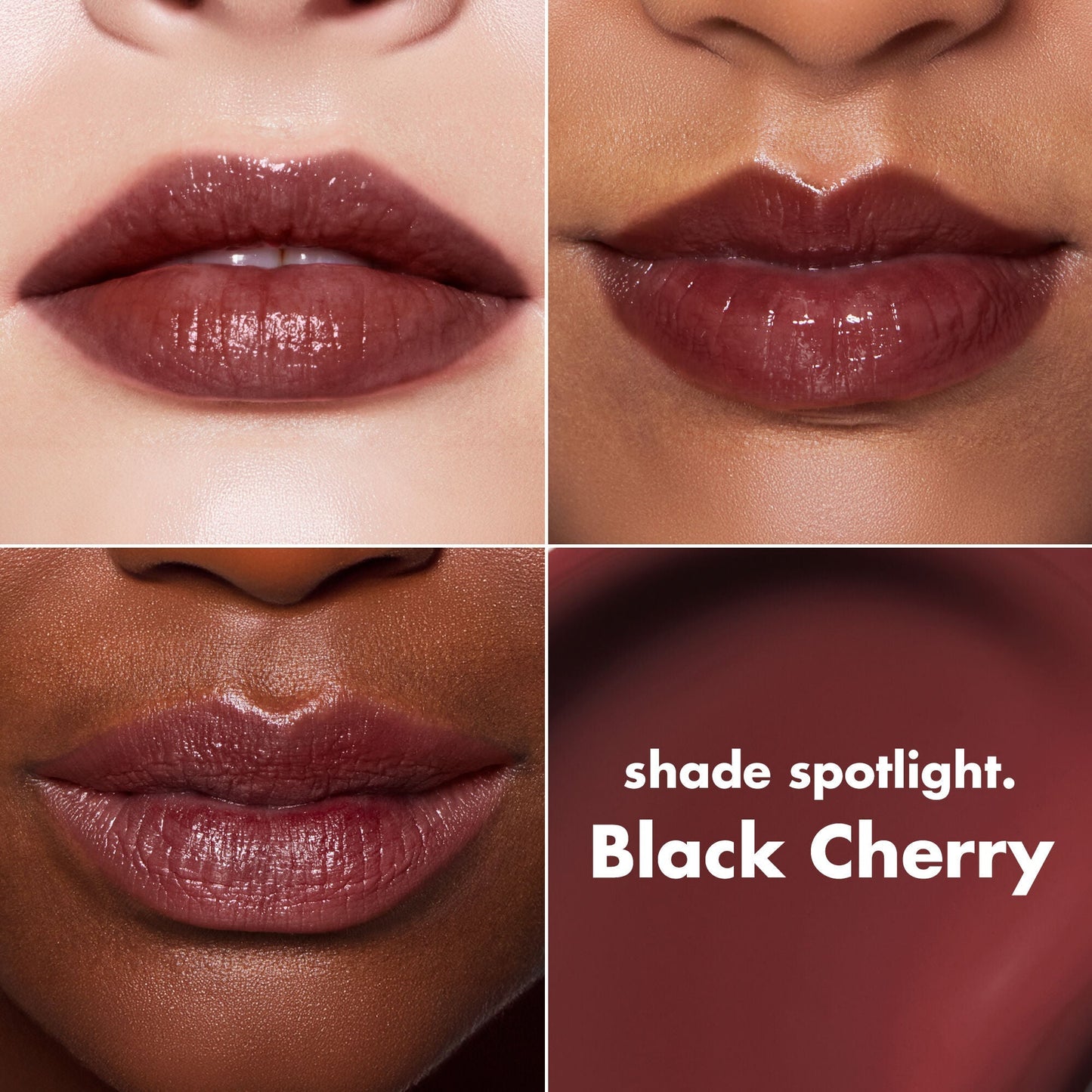 lip-lacquer-g2 0426_EDU_LipLaquer_ShadeChart_BlackCherry.jpg