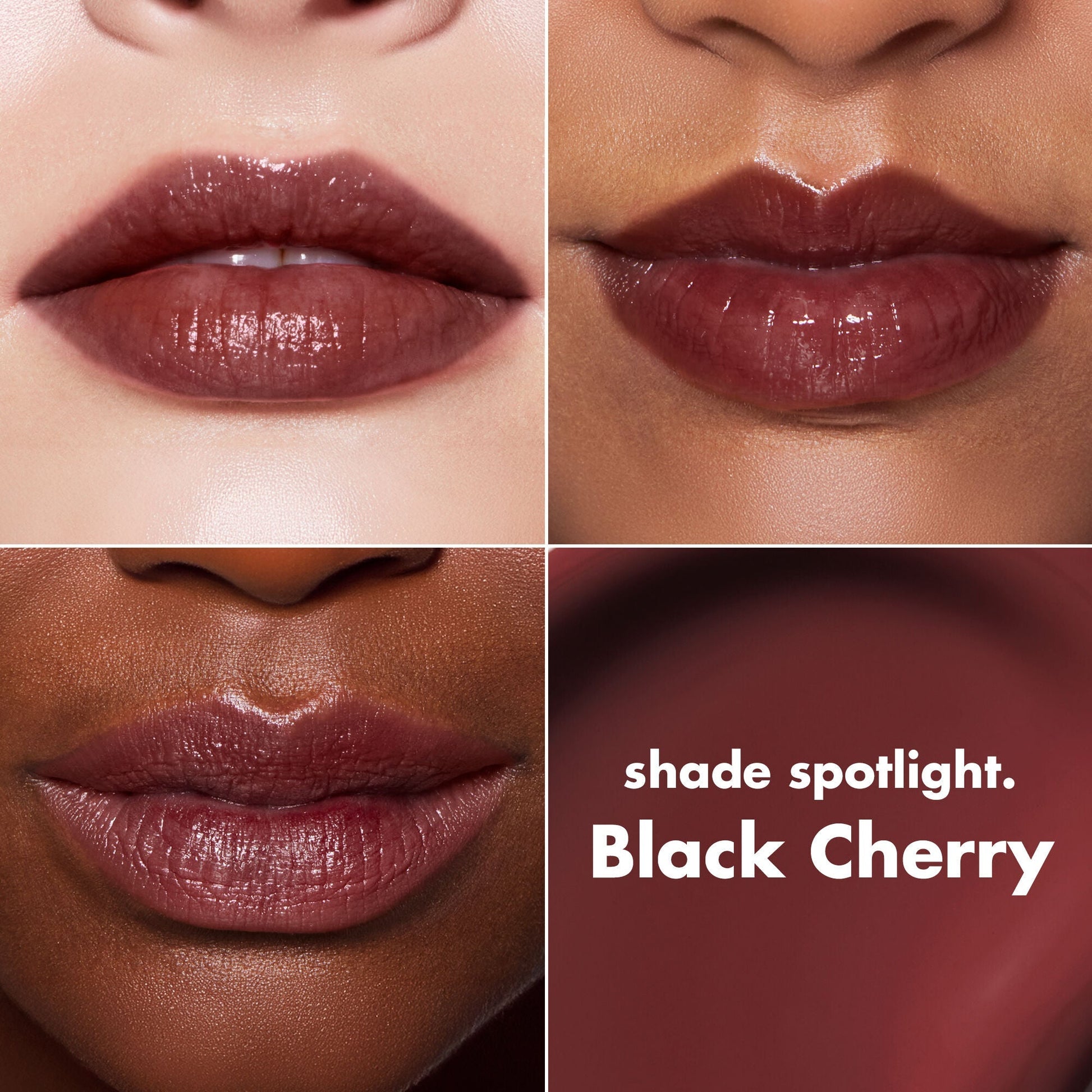 lip-lacquer-g2 0426_EDU_LipLaquer_ShadeChart_BlackCherry.jpg