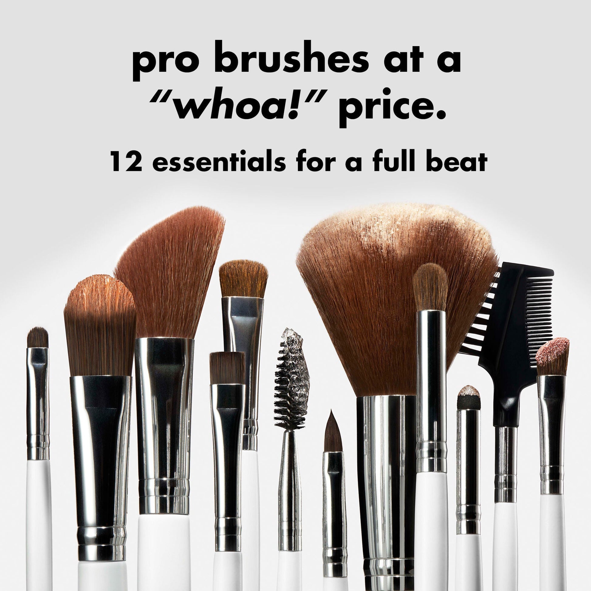 professional-set-of-12-makeup-brushes-x0 0823_PDP_BRUSHES_12-PIECE_SET_PRODUCT.jpg