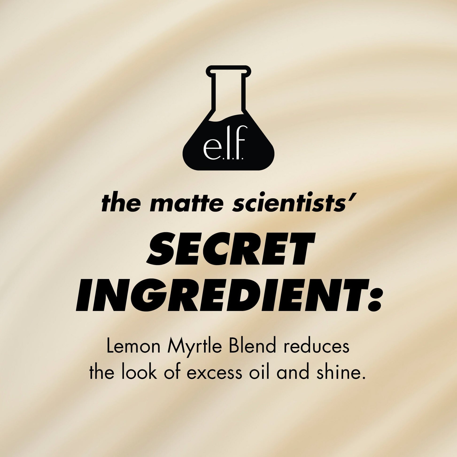 power-grip-matte-primer-o6 1224_EDUCATION_PGMATTE_INGREDIENT_b9de063f-aeb5-403f-9709-c3cafbf9c9d1.jpg