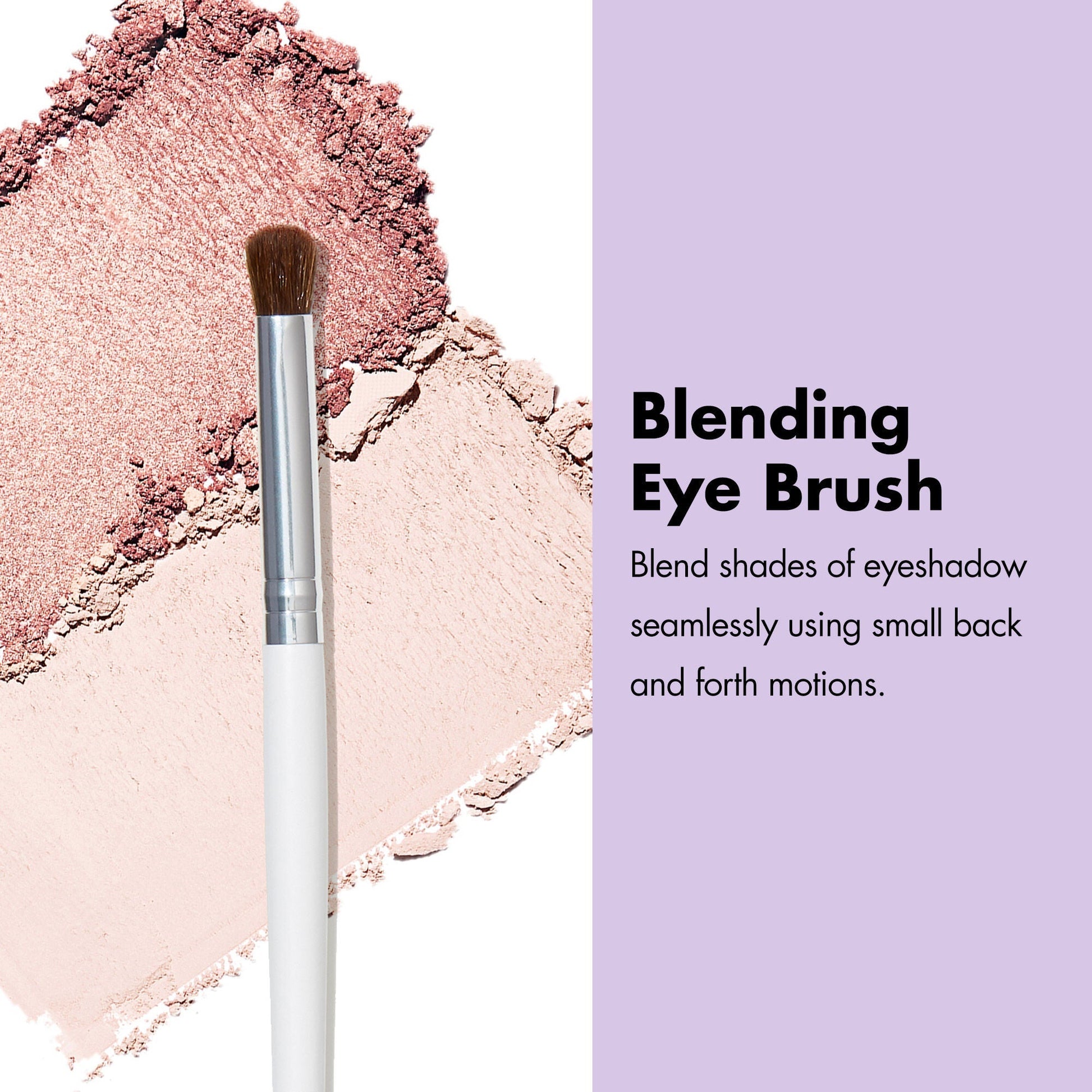 professional-set-of-12-makeup-brushes-x0 ProfessionalBrushes_Eye_BlendingEyeBrush_PDP_Edu_2000x2000_26193f3d-8d6e-4a03-b37f-ee11744d01a8.jpg