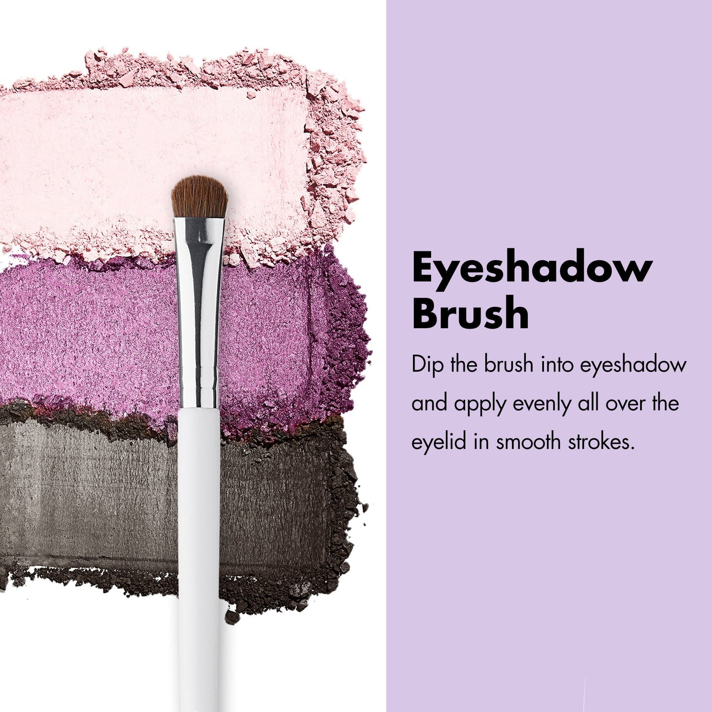 professional-set-of-12-makeup-brushes-x0 ProfessionalBrushes_Eye_EyeshadowBrush_PDP_Edu_2000x2000_2418e3b8-bb65-4e6d-af53-e6d0aab002ae.jpg